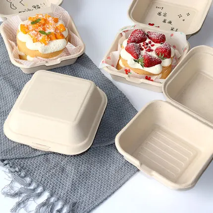 Caja Bento desechable ecológic - Meal Prep For A Day reseña y precio