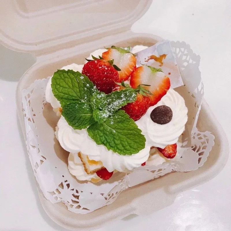 Caja Bento desechable ecológic - Meal Prep For A Day reseña y precio